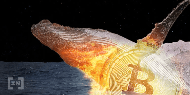 5,500 Bitcoinów (BTC) zostało wysłane na Binance.