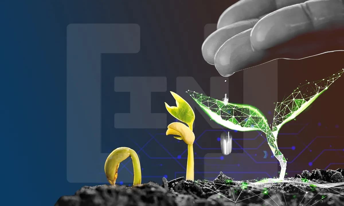 Jak obecnie działają produkty blockchain ukierunkowane na rolnictwo