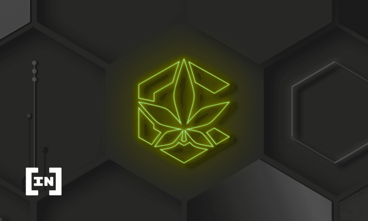Cannumi &#8211; zielona decentralizacja. Synteza crypto i cannabis