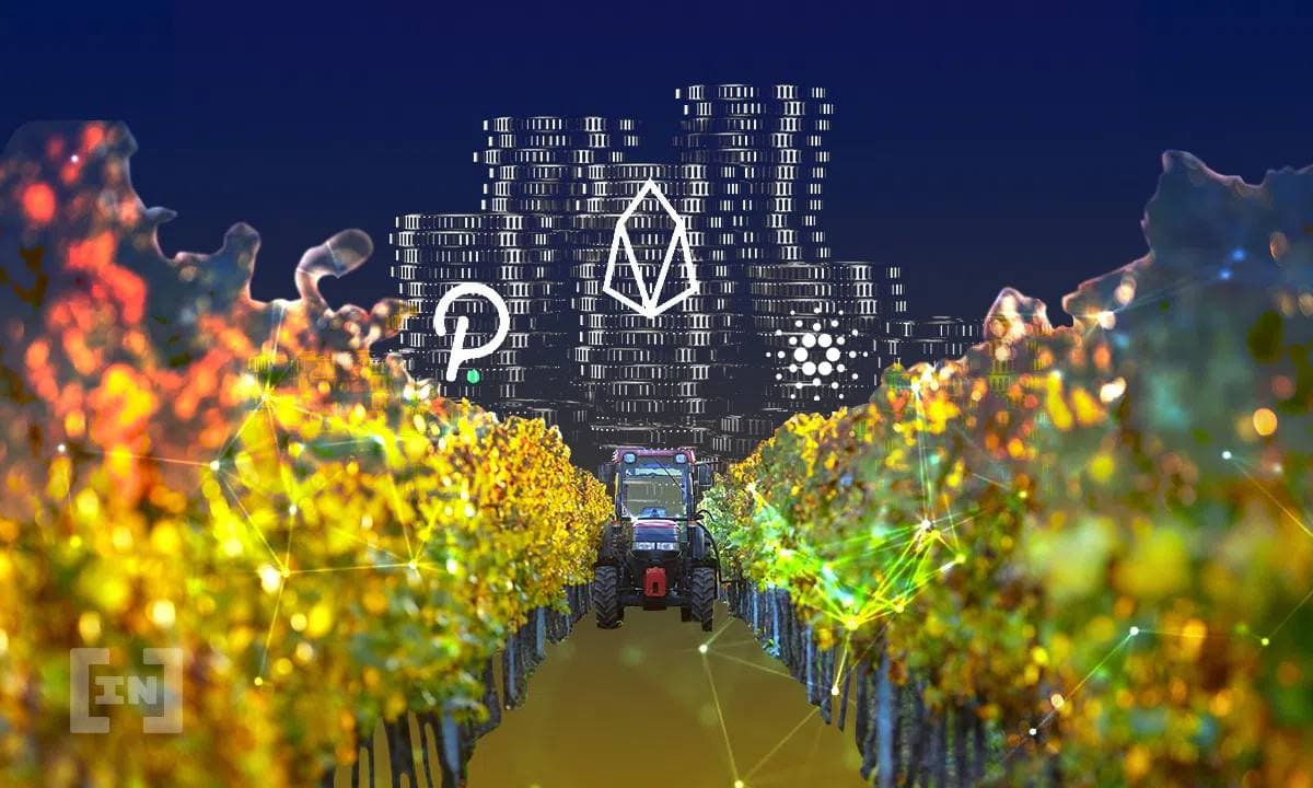 Co jeśli nie Lamborghini? Jakie samochody wybierają krypto świry?