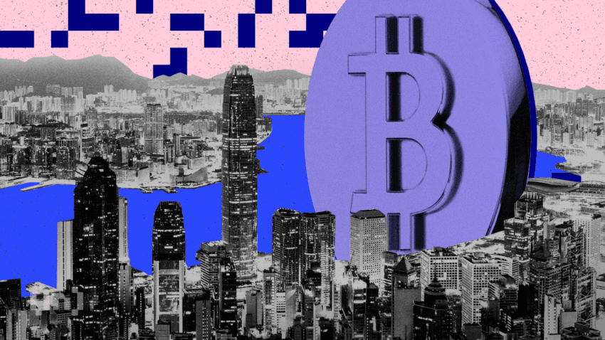 Bitcoin vs Tulipomania &#8211; różnice