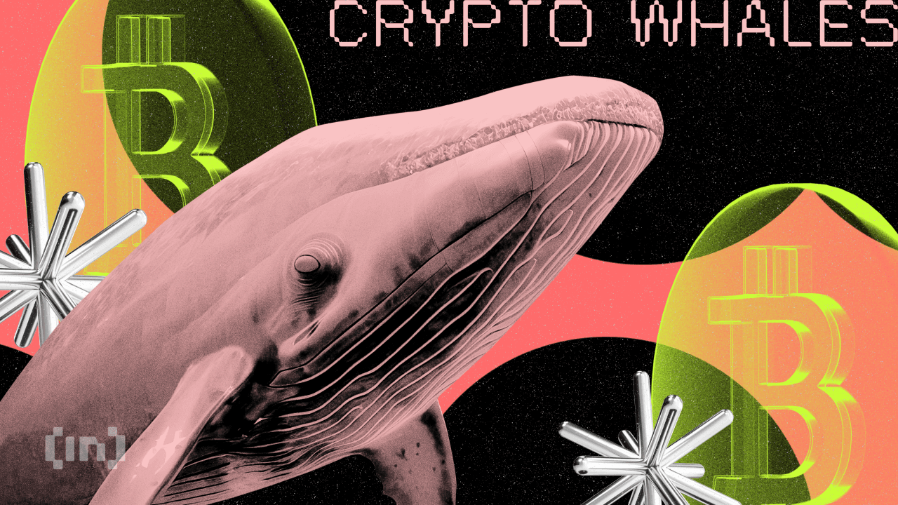 Wieloryb Bitcoin budzi się po 12 latach &#8211; w portfelu fortuna
