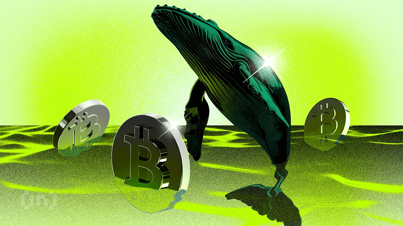 Czy wieloryby Bitcoina napędzają altcoin sezon?