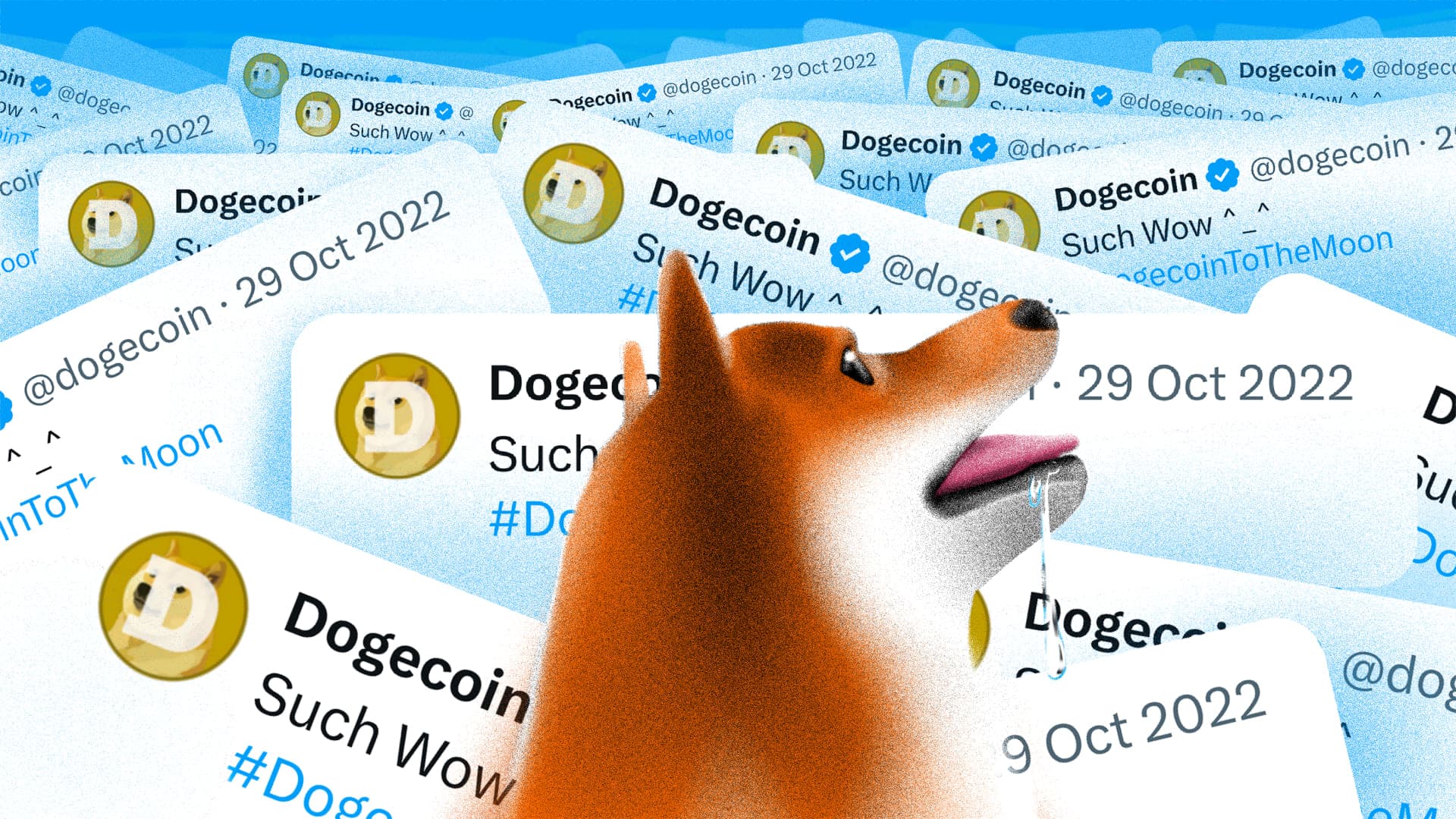 Czy sierpniowe katalizatory wywołają FOMO na Dogecoin?