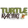 Turtle Racing