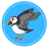 Puffin Global