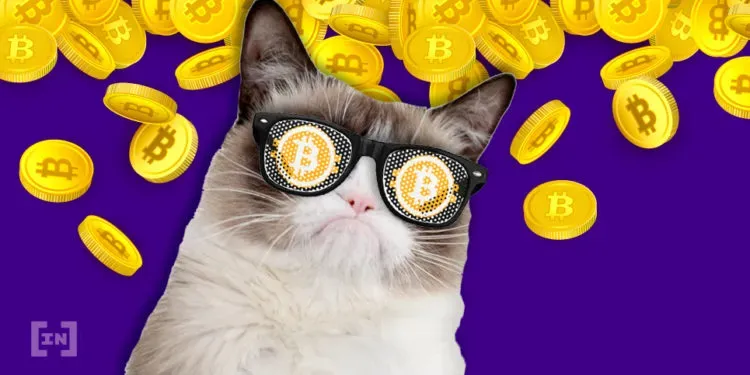 Czy powinieneś stakować kryptowaluty? Co mówią dane?