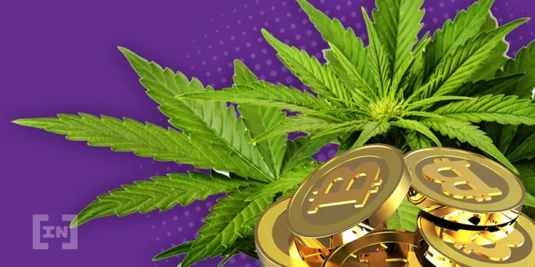 Bitcoin i legalna marihuana lekarstwem na kryzys w Polsce [OPINIA]