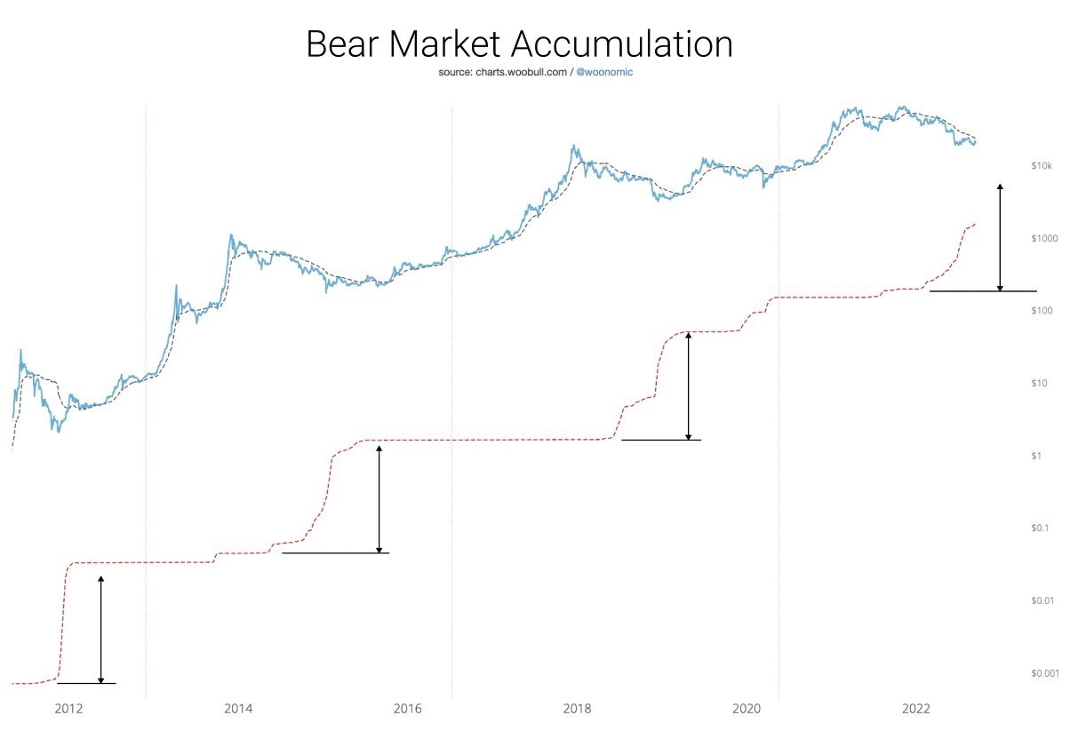 Willy Woo - Bear Market Accumulation