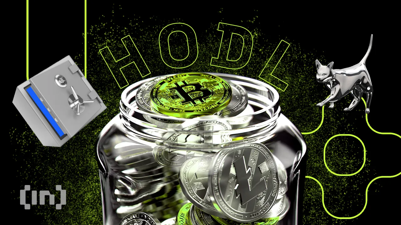 Rekordowy HODL: Strategie na spadki