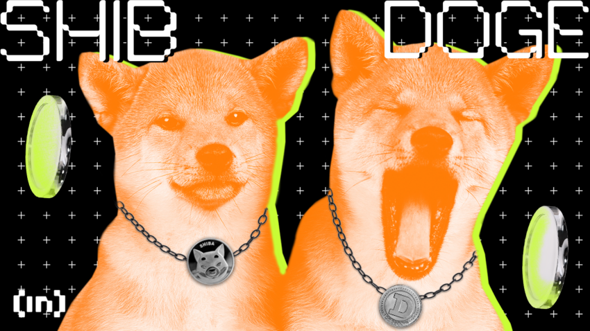 Shiba Inu: Jak potoczą się losy Shib Army?