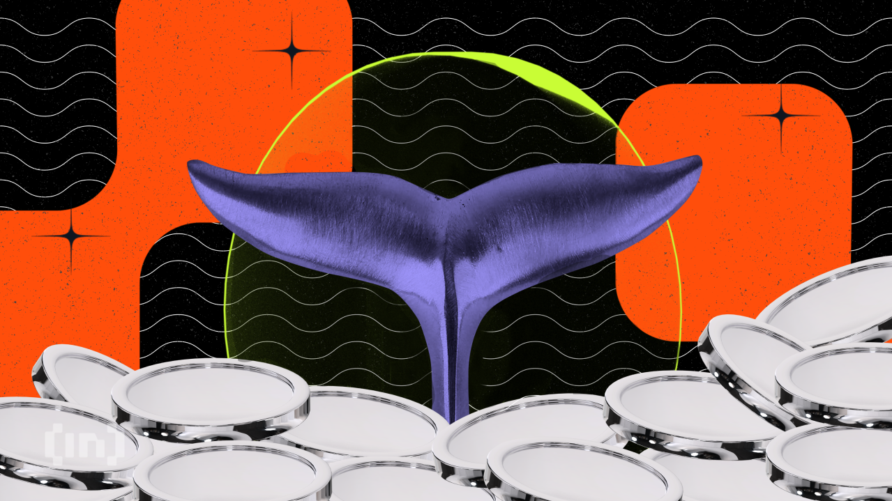 Rekordowa aktywność wielorybów. Sprawdź, gdzie płynie gruby kapitał