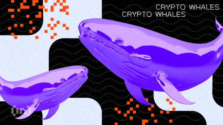 Tajemniczy wieloryb przenosi Bitcoiny o wartości 134 mln USD