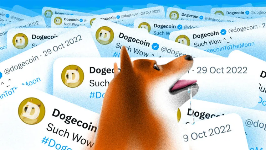 Spadek Dogecoin (DOGE) generuje sygnał on-chain do zakupu