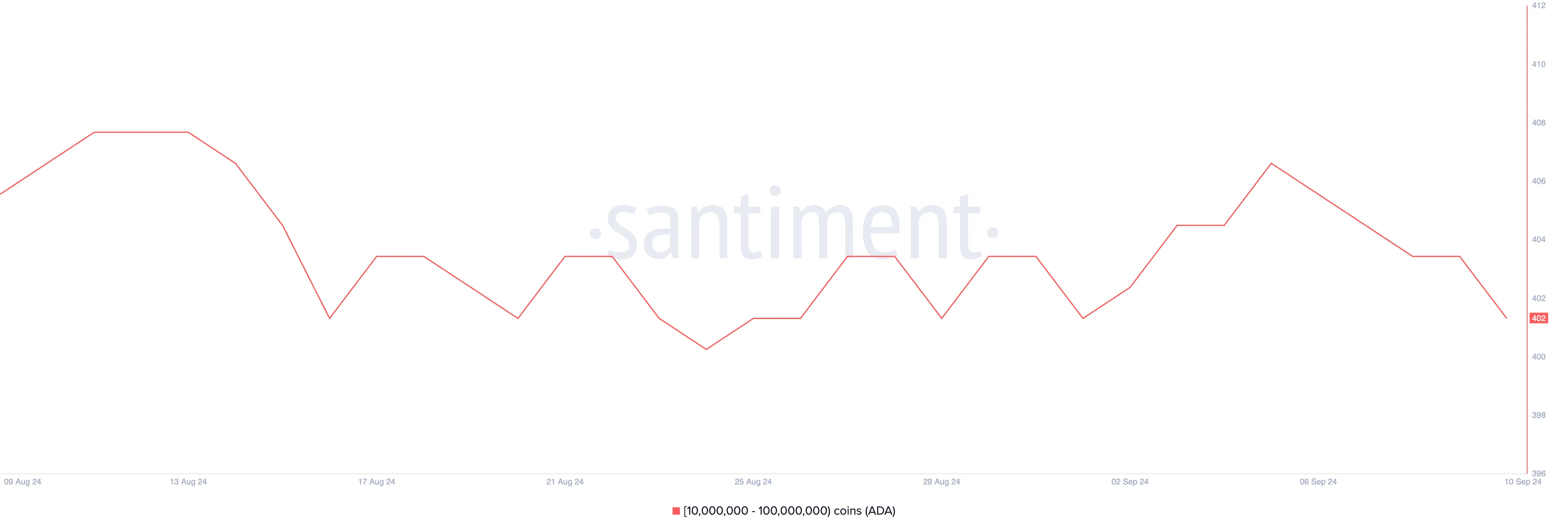 cardano whale activity
