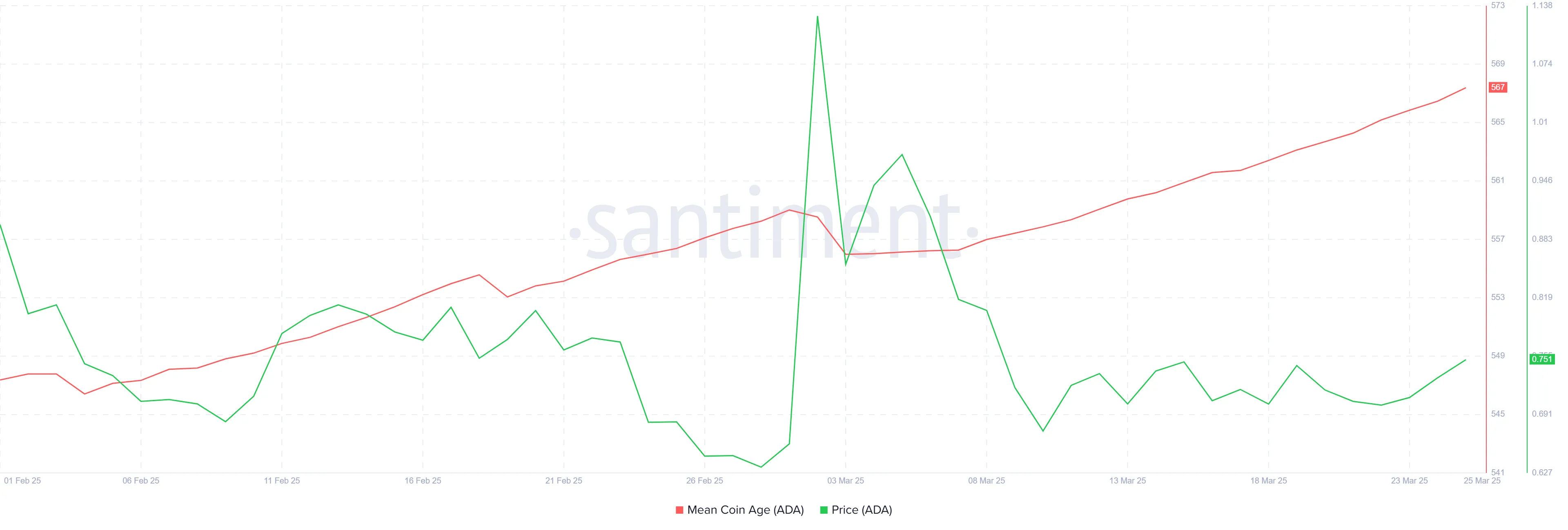 Cardano MCA