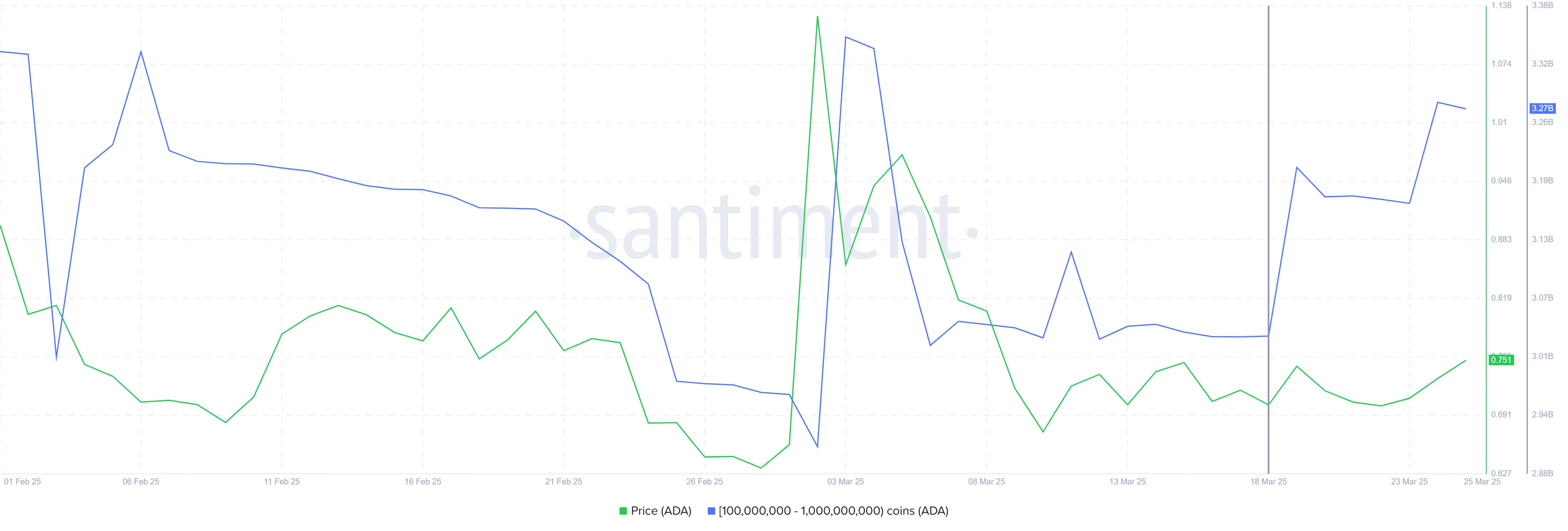 Cardano Whale Holding
