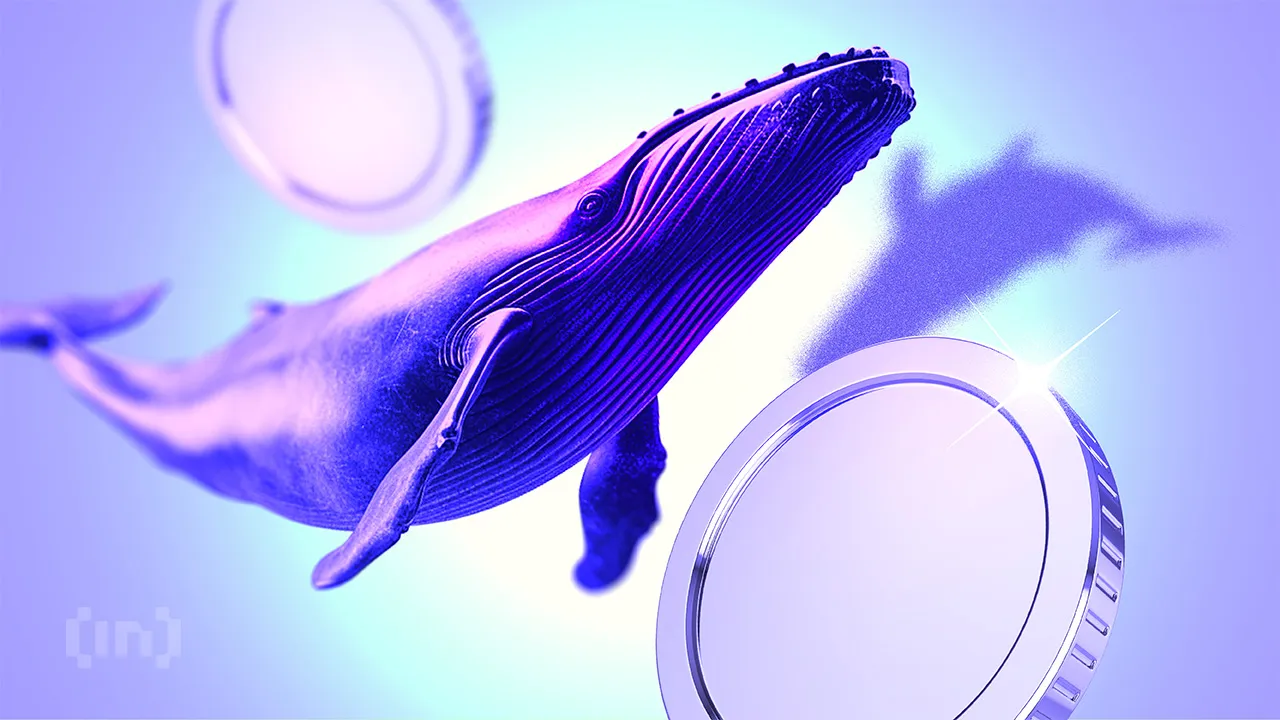 Sprzedawać czy kupować? Co robią krypto wieloryby po krachu?