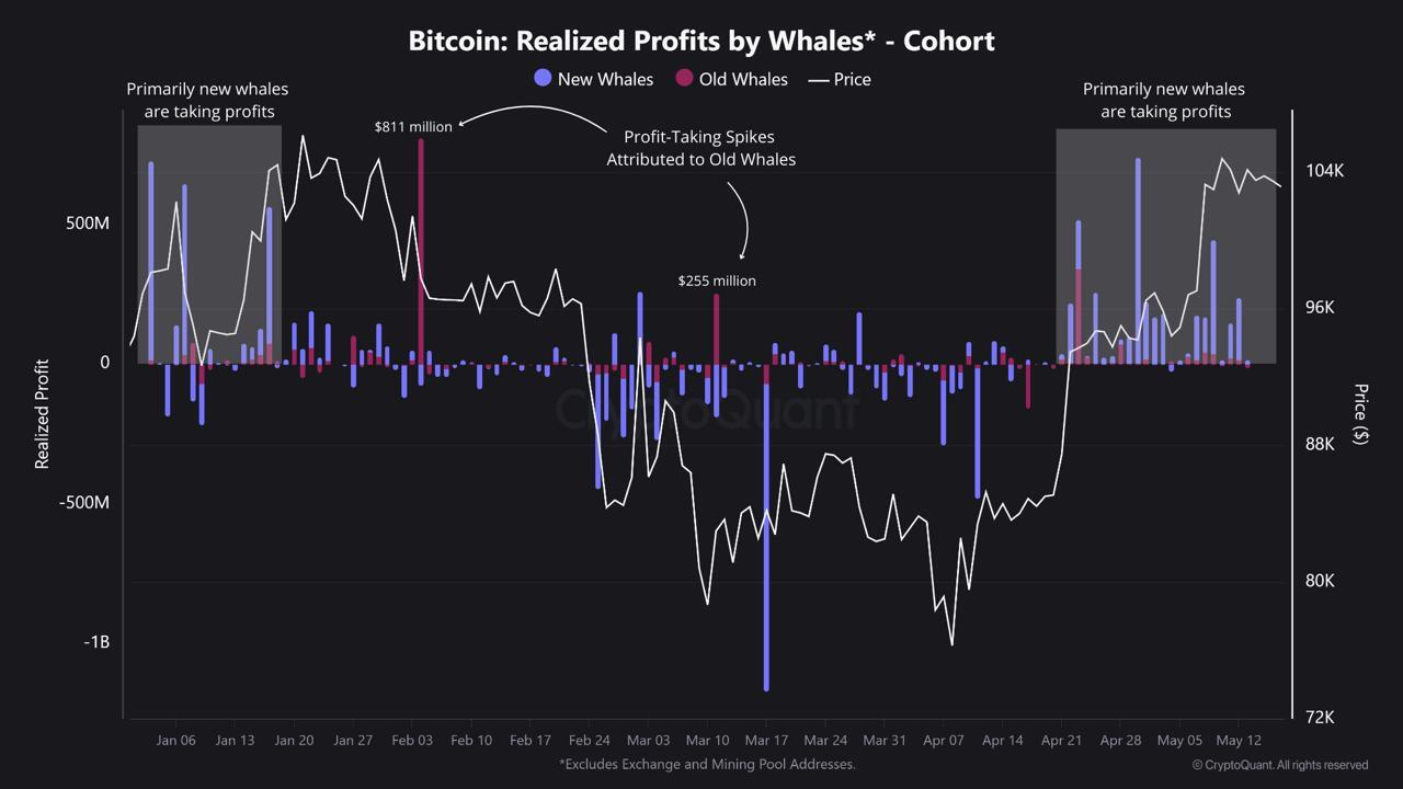 dane o wielorybach bitcoin