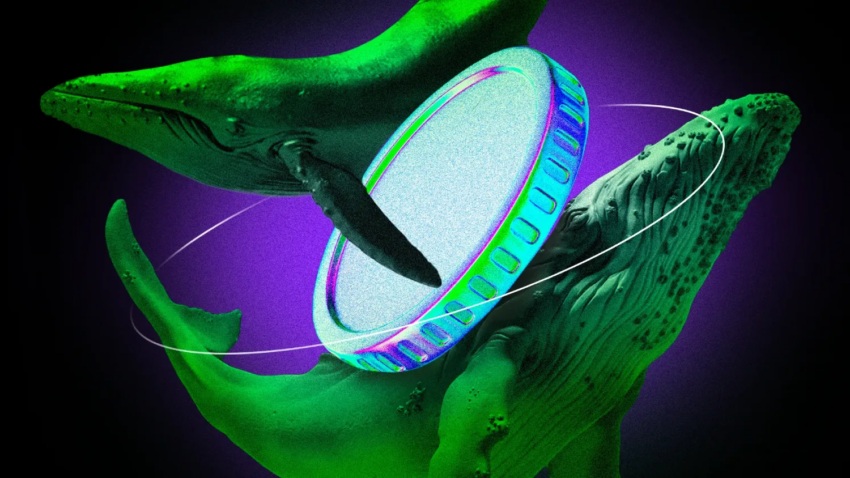 Krypto wieloryby kupują te altcoiny w drugim tygodniu lipca 2025 r.