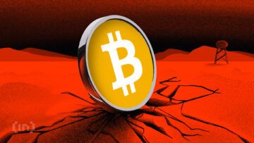 Cardano rośnie o 12%: Długoterminowi posiadacze nie sprzedają