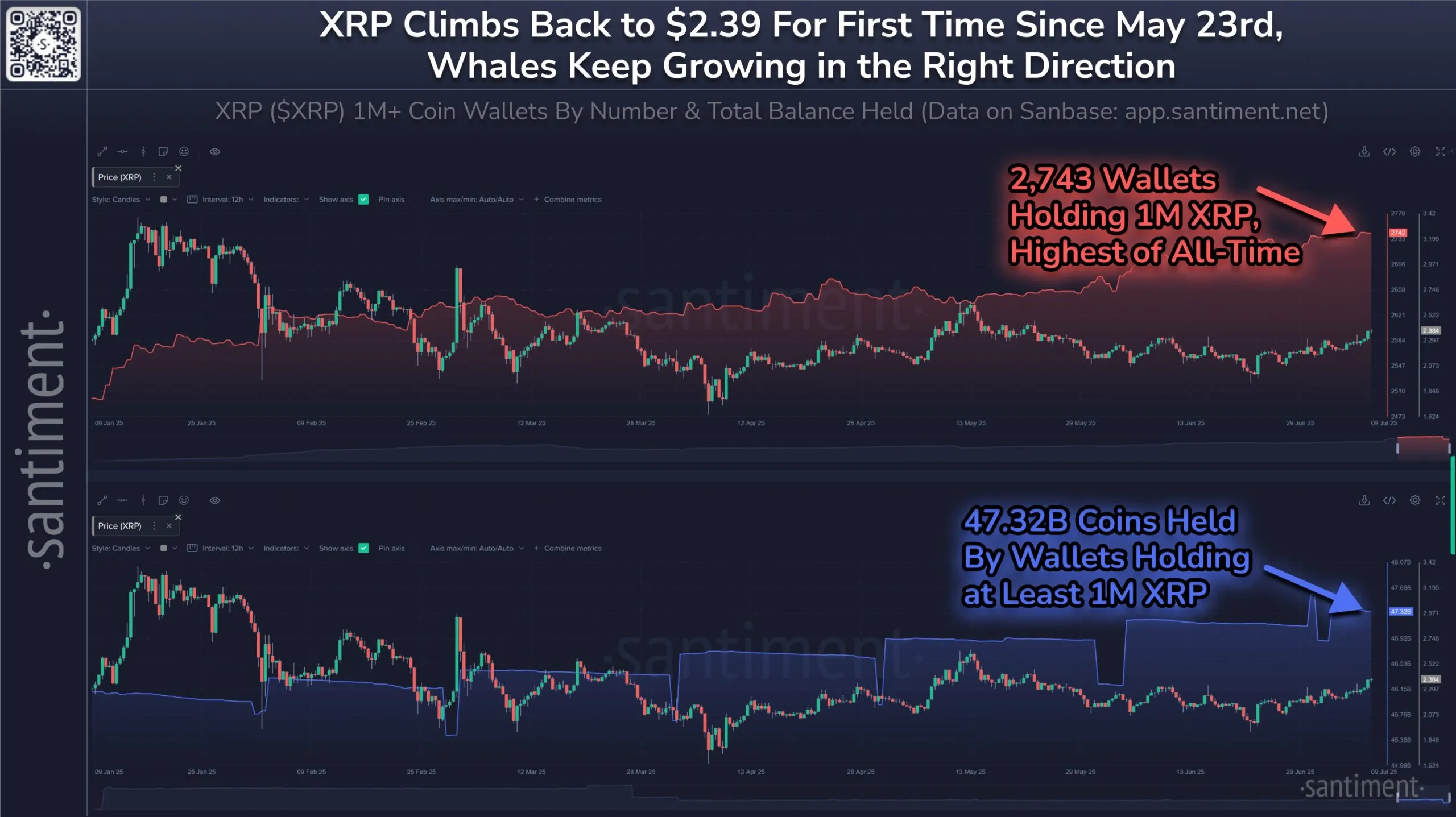 XRP Whale Addresses