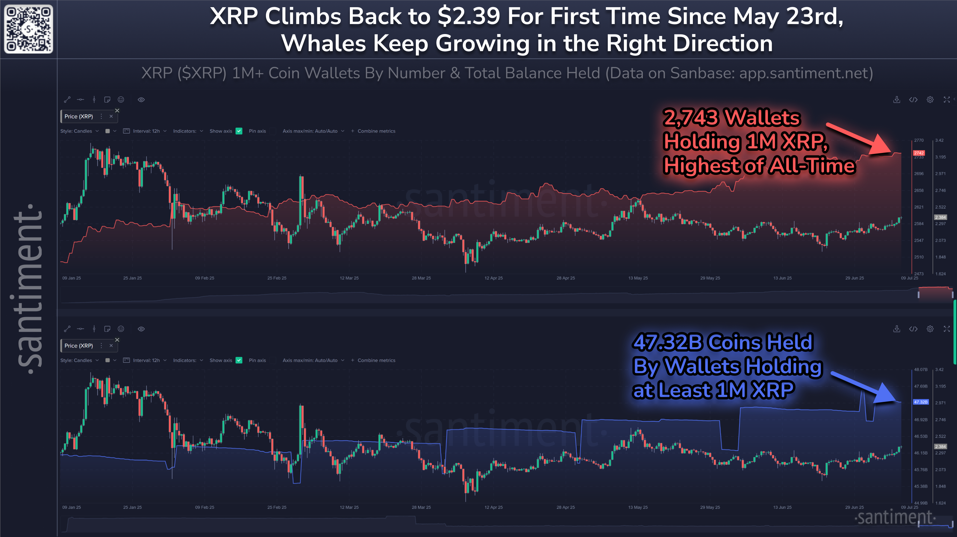 Cena XRP i liczba wielorybów XRP od początku roku. Źródło: Santiment.