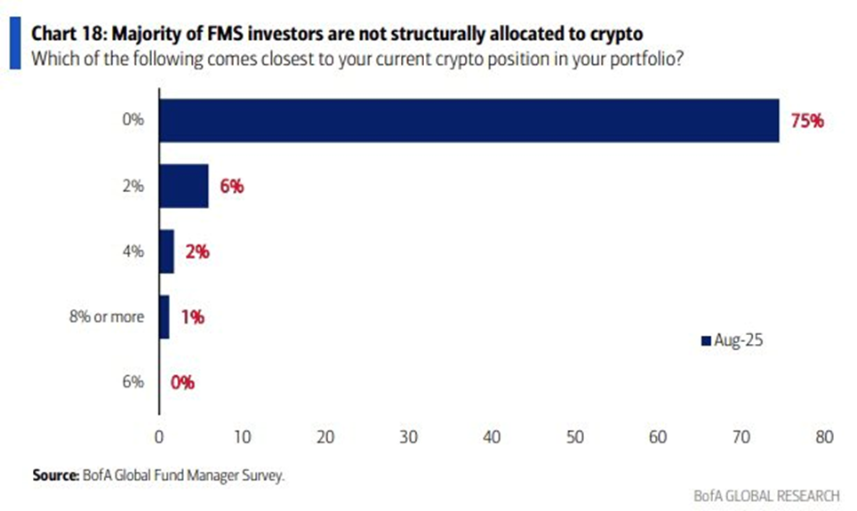 Inwestorzy z dużymi pieniędzmi trzymający kryptowaluty